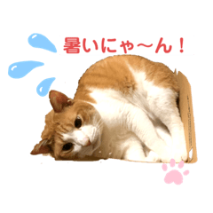 [LINEスタンプ] サンと私のあいさつ