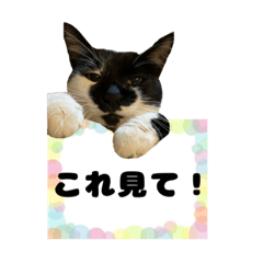 [LINEスタンプ] 福＆藤3