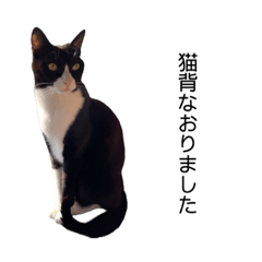 [LINEスタンプ] やまひな2