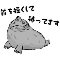 [LINEスタンプ] あざらしの暮らし