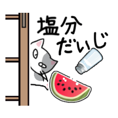 [LINEスタンプ] 差し入れ猫