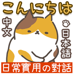 [LINEスタンプ] 猫日常会話デカ文字♥️日本語と繁中語付き