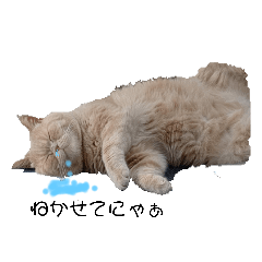 [LINEスタンプ] ぶたねこおもち