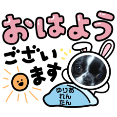 [LINEスタンプ] ゆりあ れん たんの画像（メイン）