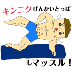 [LINEスタンプ] キンニクマッスルスタンプ