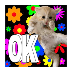 [LINEスタンプ] 毛玉猫シュシュ--2--