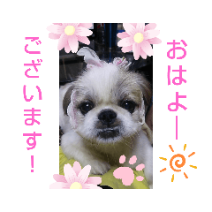 [LINEスタンプ] 春＆ペキ②