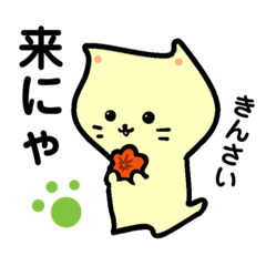 [LINEスタンプ] ひろしまねこ