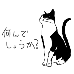 [LINEスタンプ] ハチワレ猫の日常 2nd day