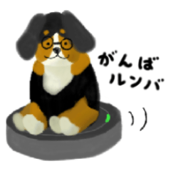 [LINEスタンプ] おちゃめな犬たち