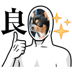 [LINEスタンプ] じろの日常9