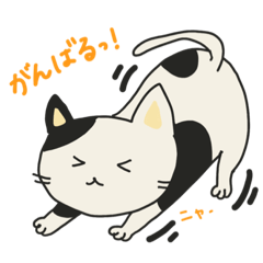 [LINEスタンプ] ねこねこ毎日スタンプ