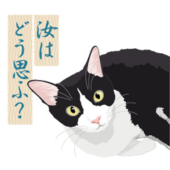 [LINEスタンプ] 古い翻訳小説の中で暮らす猫