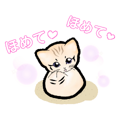 [LINEスタンプ] 砂漠にいそうな猫さん2