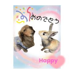 [LINEスタンプ] うさぎ＆いぬ