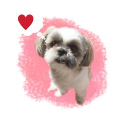 [LINEスタンプ] ここちゃんがかわいすぎる