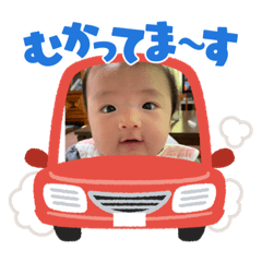 [LINEスタンプ] 毎日のりくんwithぴろ