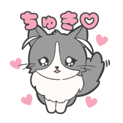 [LINEスタンプ] ハチワレにゃんこ、ラヴィちゃん