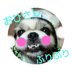 [LINEスタンプ] 春＆ペキ