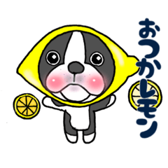 [LINEスタンプ] ボストンテリアのボンド兄さん⑤ダジャレ編