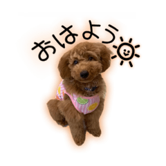 [LINEスタンプ] もかちゃんの楽しい日常