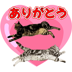 [LINEスタンプ] ノンとマル