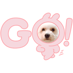 [LINEスタンプ] 一太郎くん日常で使えるスタンプ