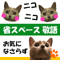 [LINEスタンプ] 省スペース＆敬語 ねこスタンプ「さくら」