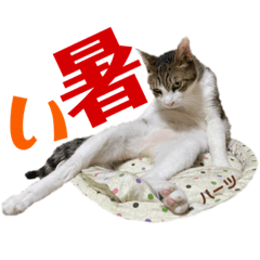 [LINEスタンプ] ハーツ保護猫シェルター支援・夏と天気
