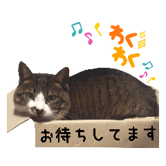 [LINEスタンプ] くぅ＆チビ