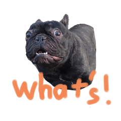 [LINEスタンプ] かぞくのLINEstamp