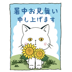 [LINEスタンプ] 【とびだす】ぽけ猫☆毎日使える•夏編の画像（メイン）