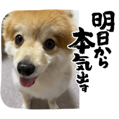 [LINEスタンプ] たろろろ