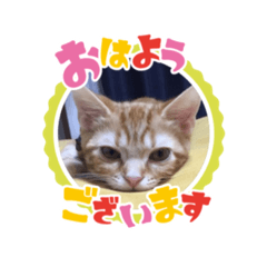 [LINEスタンプ] 快音とドラミ