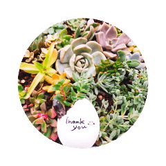 [LINEスタンプ] 多肉植物好きな人のためのThankyouスタンプ