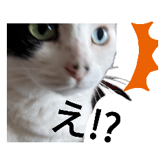 [LINEスタンプ] うしのつぶやき