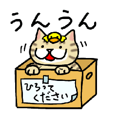 [LINEスタンプ] カワイイくるみねこ