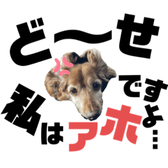 [LINEスタンプ] らぶぞぅ27
