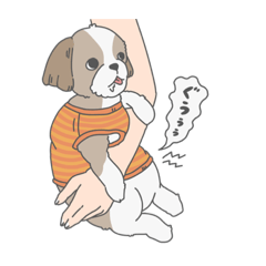 [LINEスタンプ] のんびりシーズー犬の日常2