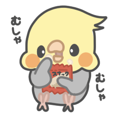 [LINEスタンプ] ゆるかわ！オカメインコちゃんのスタンプ