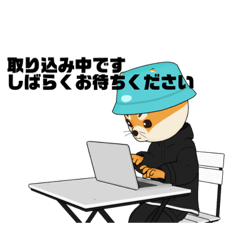 [LINEスタンプ] きつねくんの誕生