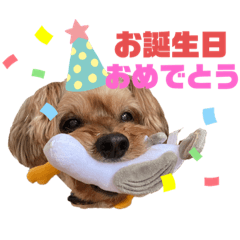 [LINEスタンプ] コーちゃん第二弾