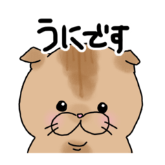 [LINEスタンプ] うにたんとゆっけたん