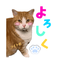 [LINEスタンプ] ぼくはライトくん
