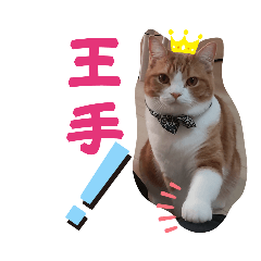 [LINEスタンプ] うちの猫、来吉(らいきち)Vol.2