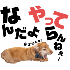[LINEスタンプ] らぶぞぅ28