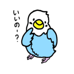 [LINEスタンプ] いんこちゃんの可愛い日常