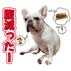 [LINEスタンプ] フレンチ・ぶ～ルドッグ