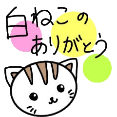 [LINEスタンプ] 白ネコのありがとう