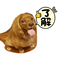 [LINEスタンプ] えーすのスタンプ2